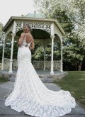 Vera (Back)
